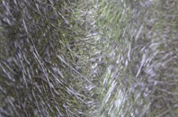 Oakleigh Park fibreglass roof work